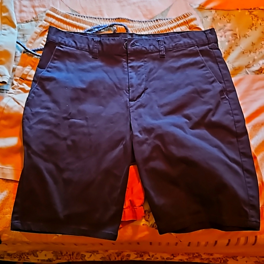PacSun shorts